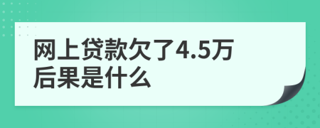 网上贷款欠了4.5万后果是什么