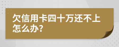 欠信用卡四十万还不上怎么办？