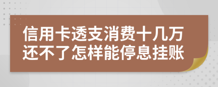信用卡透支消费十几万还不了怎样能停息挂账