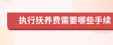 执行抚养费需要哪些手续