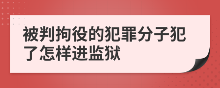 被判拘役的犯罪分子犯了怎样进监狱