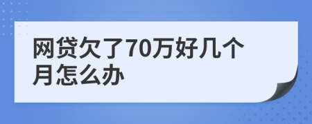 网贷欠了70万好几个月怎么办