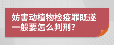 妨害动植物检疫罪既遂一般要怎么判刑?