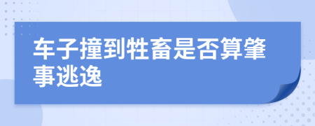 车子撞到牲畜是否算肇事逃逸