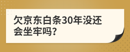 欠京东白条30年没还会坐牢吗？
