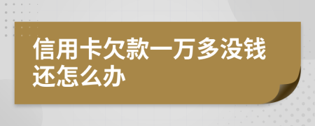 信用卡欠款一万多没钱还怎么办