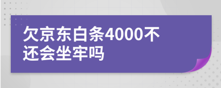 欠京东白条4000不还会坐牢吗