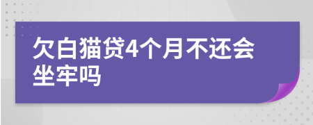 欠白猫贷4个月不还会坐牢吗