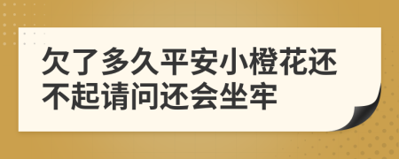 欠了多久平安小橙花还不起请问还会坐牢