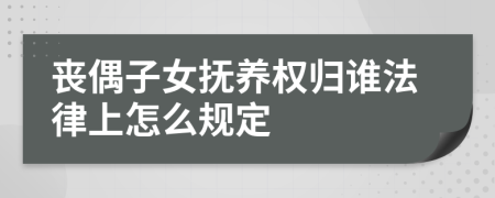 丧偶子女抚养权归谁法律上怎么规定