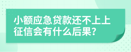 小额应急贷款还不上上征信会有什么后果？