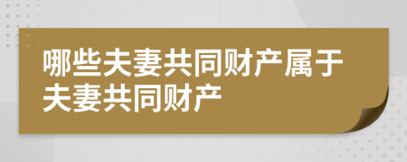 哪些夫妻共同财产属于夫妻共同财产