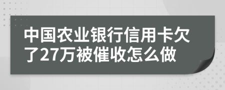 中国农业银行信用卡欠了27万被催收怎么做