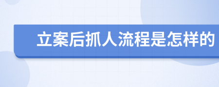 立案后抓人流程是怎样的