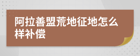 阿拉善盟荒地征地怎么样补偿