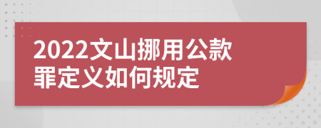 2022文山挪用公款罪定义如何规定