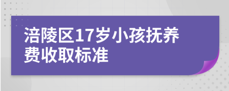 涪陵区17岁小孩抚养费收取标准