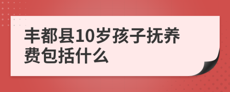 丰都县10岁孩子抚养费包括什么