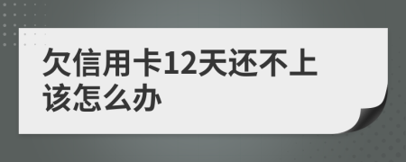 欠信用卡12天还不上该怎么办