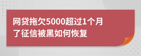 网贷拖欠5000超过1个月了征信被黑如何恢复