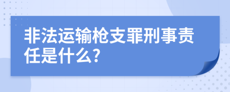 非法运输枪支罪刑事责任是什么?