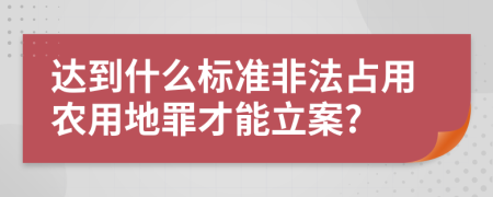 达到什么标准非法占用农用地罪才能立案?