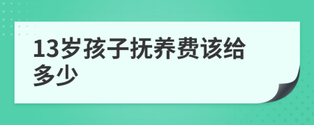 13岁孩子抚养费该给多少