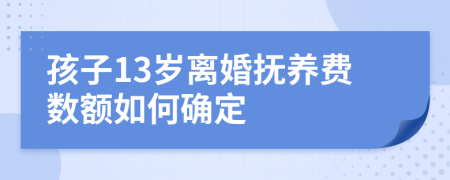 孩子13岁离婚抚养费数额如何确定