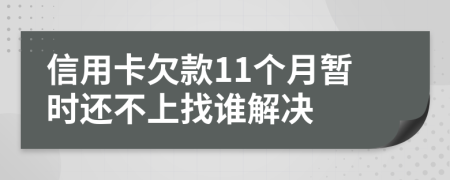 信用卡欠款11个月暂时还不上找谁解决