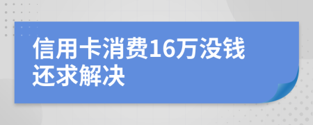 信用卡消费16万没钱还求解决
