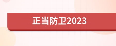 正当防卫2023