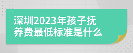 深圳2023年孩子抚养费最低标准是什么