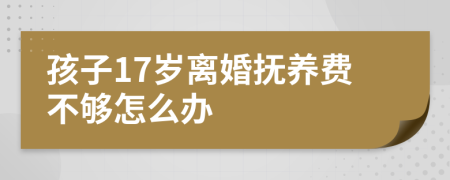 孩子17岁离婚抚养费不够怎么办