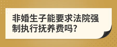 非婚生子能要求法院强制执行抚养费吗?