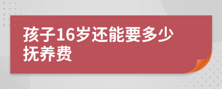 孩子16岁还能要多少抚养费