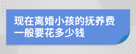 现在离婚小孩的抚养费一般要花多少钱