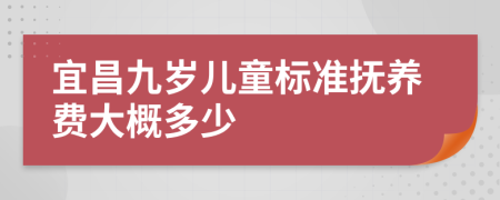 宜昌九岁儿童标准抚养费大概多少