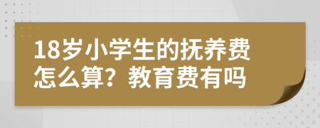 18岁小学生的抚养费怎么算？教育费有吗