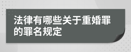 法律有哪些关于重婚罪的罪名规定