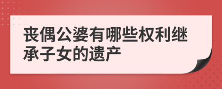 丧偶公婆有哪些权利继承子女的遗产