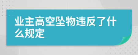 业主高空坠物违反了什么规定