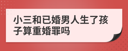 小三和已婚男人生了孩子算重婚罪吗