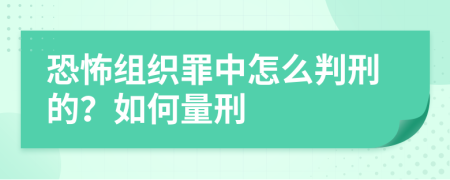 恐怖组织罪中怎么判刑的？如何量刑