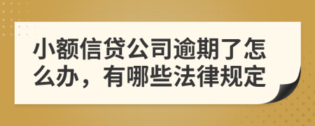 小额信贷公司逾期了怎么办，有哪些法律规定