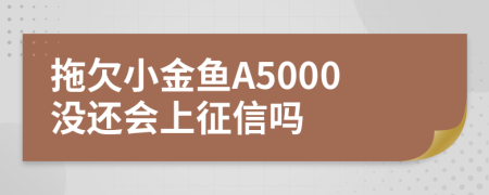 拖欠小金鱼A5000没还会上征信吗