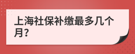 上海社保补缴最多几个月？