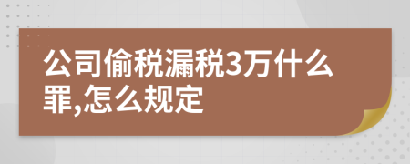 公司偷税漏税3万什么罪,怎么规定