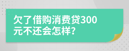 欠了借购消费贷300元不还会怎样？