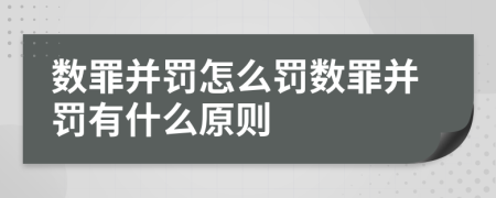 数罪并罚怎么罚数罪并罚有什么原则