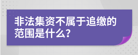 非法集资不属于追缴的范围是什么？